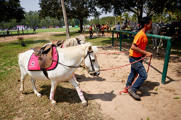 THAI-PINK-POLO-2020-Dominic-James_DJ92257.ARW-6724