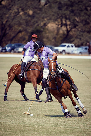 Oyster Cup Polo tournament