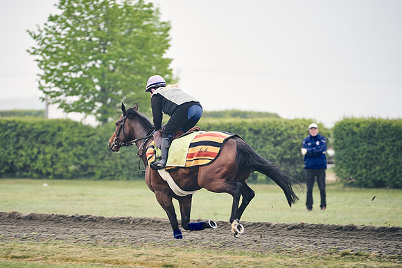 NEWMARKET-GALLOPS-24nd-APRIL-DJ-0216