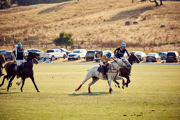 Oyster Cup Polo tournament