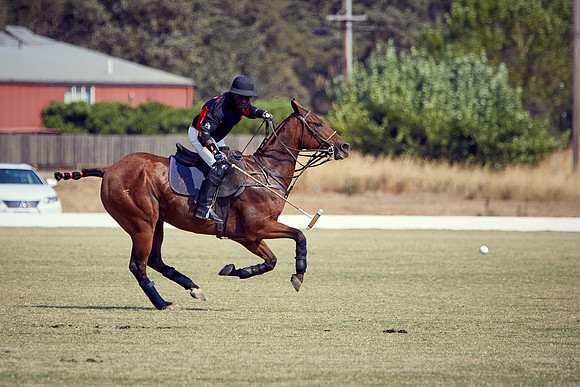 Oyster Cup Polo tournament