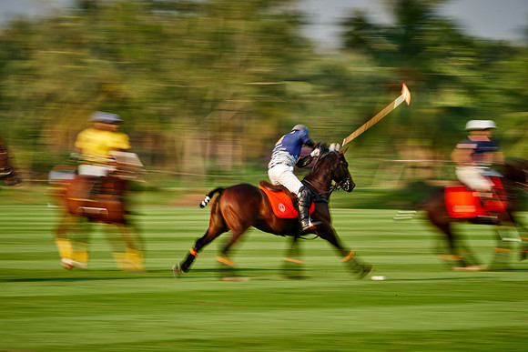 THAI-POLO-OPEN-2019_DJ_0577