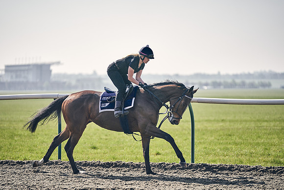 GEORGE-BOUGHEY-RACING-DJ-3413