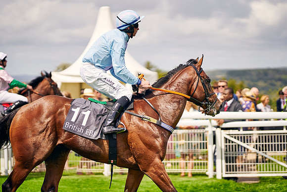 QGF2023-DominicJames-01693
