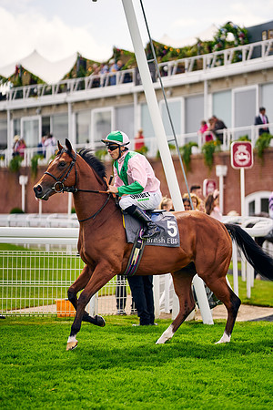QGF2023-DominicJames-01344