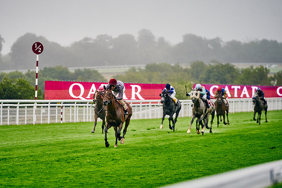 QGF2023-DominicJames-03696