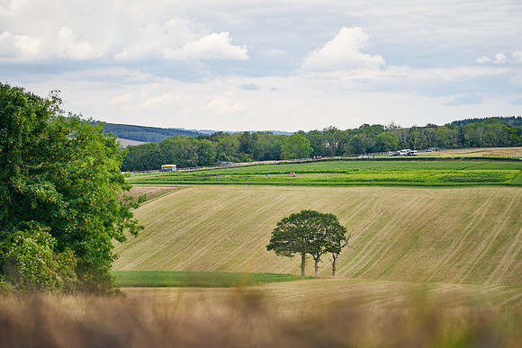 QGF2023-DominicJames-09151