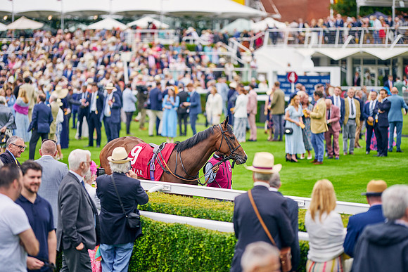 QGF2023-DominicJames-15727