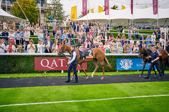 QGF2023-DominicJames-14899