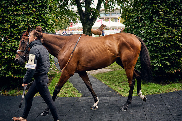 QGF2023-DominicJames-22887