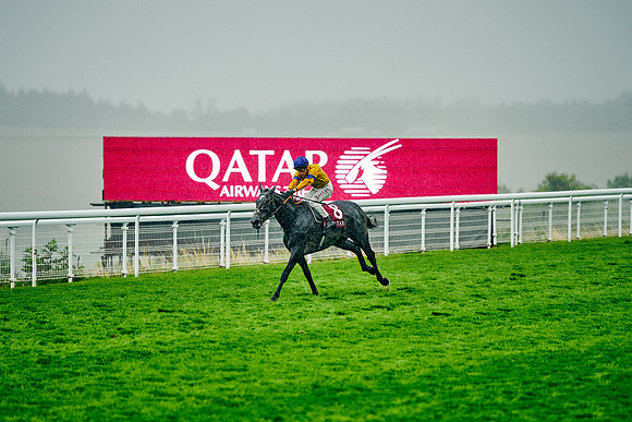 QGF2023-DominicJames-19293