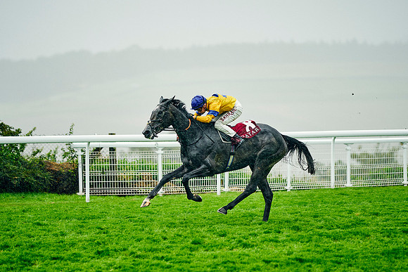 QGF2023-DominicJames-20958