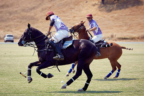 Oyster Cup Polo tournament