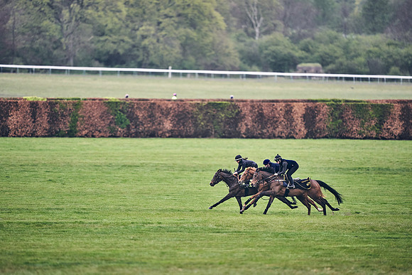 HORSES-IN-TRAINING-18TH-APR-DJ-0668