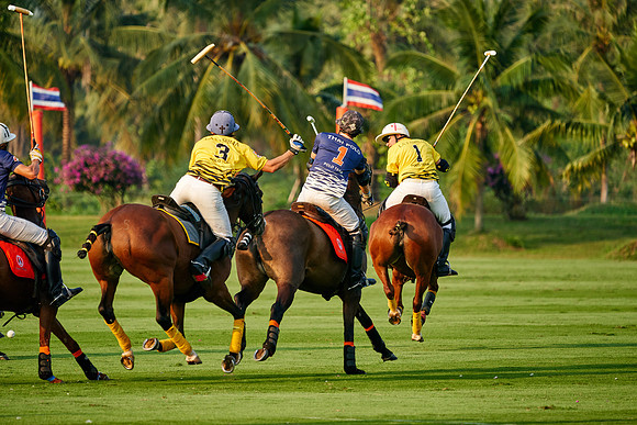 THAI-POLO-OPEN-2019_DJ_0867