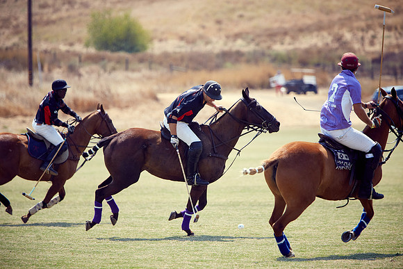 Oyster Cup Polo tournament
