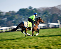 22nd Mar 22 Warren Hill Grass 001