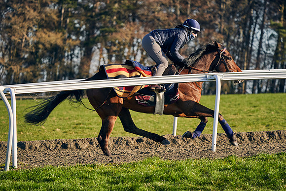 2021-04-06-Dominic-James-8328