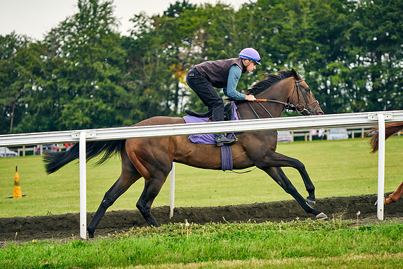 2021-08-03-Dominic-James-0915