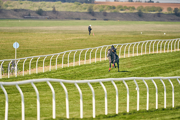 2021-04-12-Dominic-James-Craven-Breeze-Up-Sales-0434