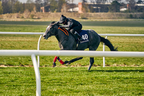 2021-04-12-Dominic-James-Craven-Breeze-Up-Sales-0435