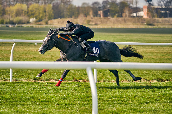 2021-04-12-Dominic-James-Craven-Breeze-Up-Sales-0436