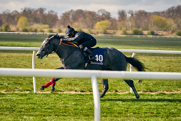 2021-04-12-Dominic-James-Craven-Breeze-Up-Sales-0437