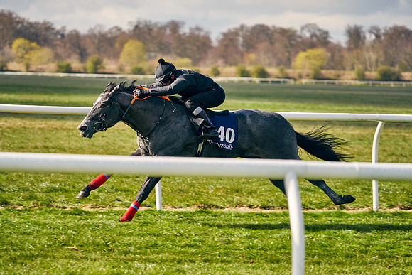 2021-04-12-Dominic-James-Craven-Breeze-Up-Sales-0438