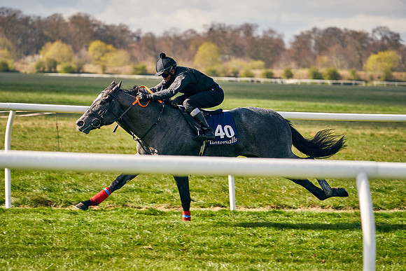 2021-04-12-Dominic-James-Craven-Breeze-Up-Sales-0439