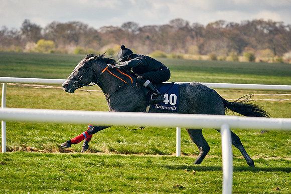 2021-04-12-Dominic-James-Craven-Breeze-Up-Sales-0440