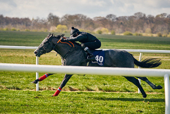 2021-04-12-Dominic-James-Craven-Breeze-Up-Sales-0441