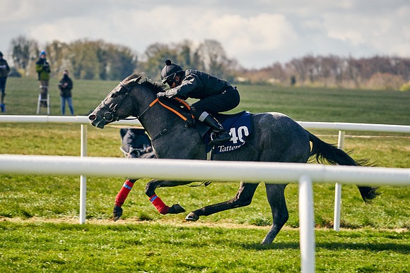 2021-04-12-Dominic-James-Craven-Breeze-Up-Sales-0442