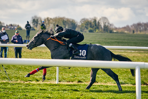2021-04-12-Dominic-James-Craven-Breeze-Up-Sales-0443