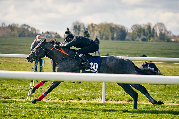 2021-04-12-Dominic-James-Craven-Breeze-Up-Sales-0444