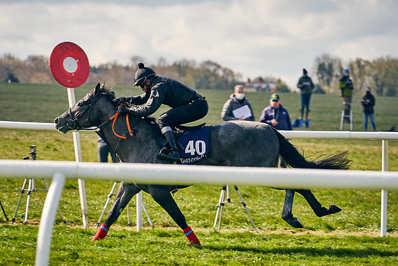 2021-04-12-Dominic-James-Craven-Breeze-Up-Sales-0445