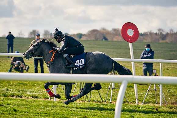 2021-04-12-Dominic-James-Craven-Breeze-Up-Sales-0446