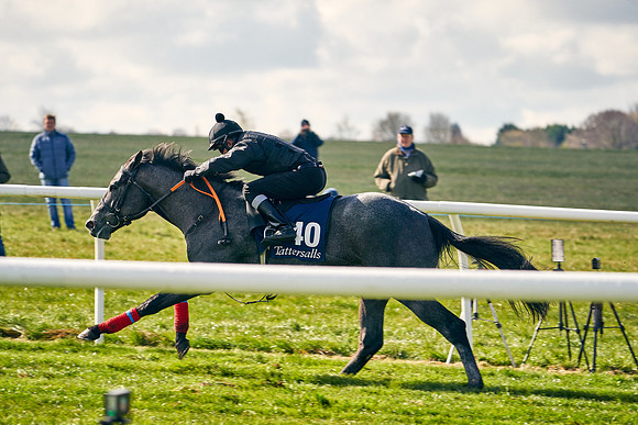 2021-04-12-Dominic-James-Craven-Breeze-Up-Sales-0447