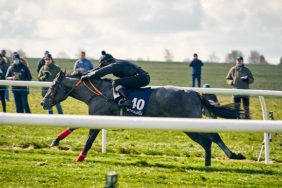 2021-04-12-Dominic-James-Craven-Breeze-Up-Sales-0448