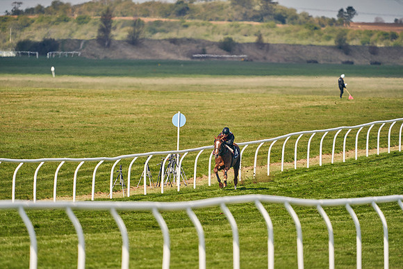 2021-04-12-Dominic-James-Craven-Breeze-Up-Sales-0449