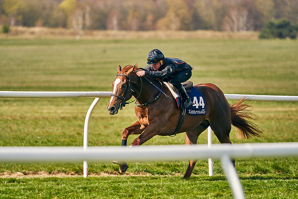 2021-04-12-Dominic-James-Craven-Breeze-Up-Sales-0450