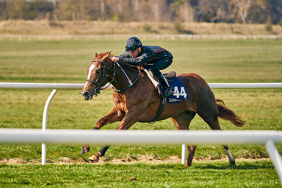 2021-04-12-Dominic-James-Craven-Breeze-Up-Sales-0451