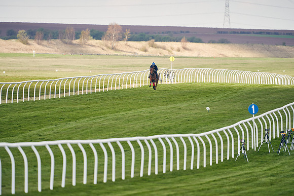 2021-04-12-Dominic-James-Craven-Breeze-Up-Sales-1270
