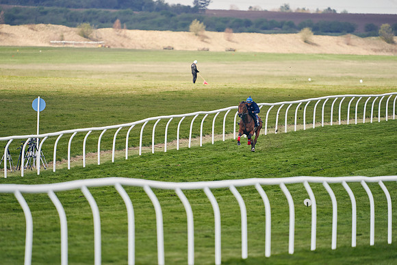 2021-04-12-Dominic-James-Craven-Breeze-Up-Sales-1271