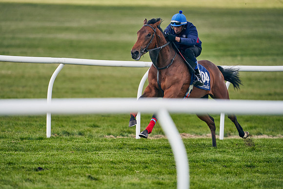 2021-04-12-Dominic-James-Craven-Breeze-Up-Sales-1272