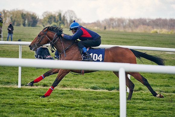 2021-04-12-Dominic-James-Craven-Breeze-Up-Sales-1274