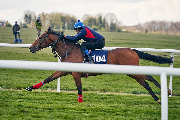 2021-04-12-Dominic-James-Craven-Breeze-Up-Sales-1275