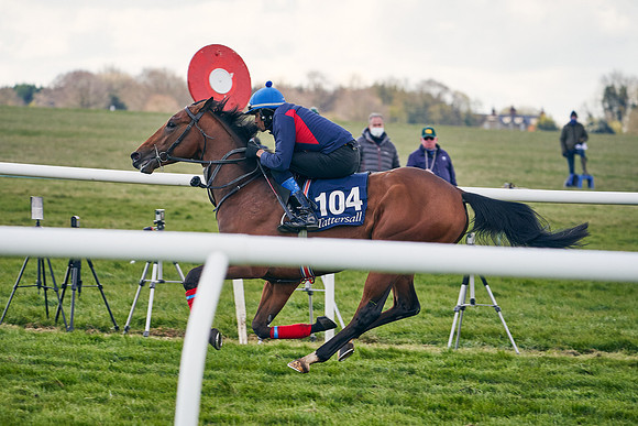 2021-04-12-Dominic-James-Craven-Breeze-Up-Sales-1276