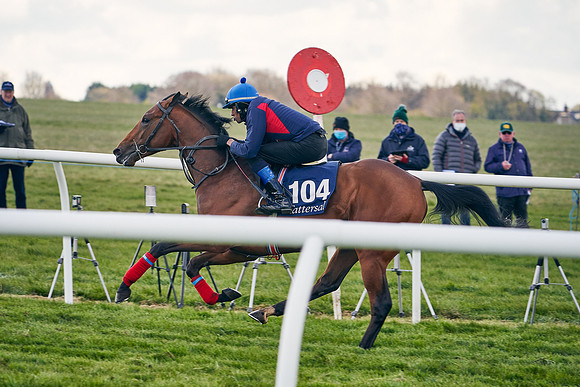 2021-04-12-Dominic-James-Craven-Breeze-Up-Sales-1277