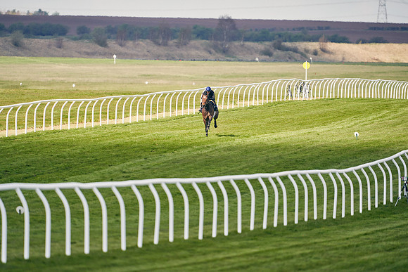2021-04-12-Dominic-James-Craven-Breeze-Up-Sales-1281