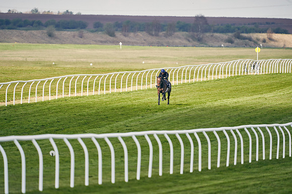2021-04-12-Dominic-James-Craven-Breeze-Up-Sales-1282